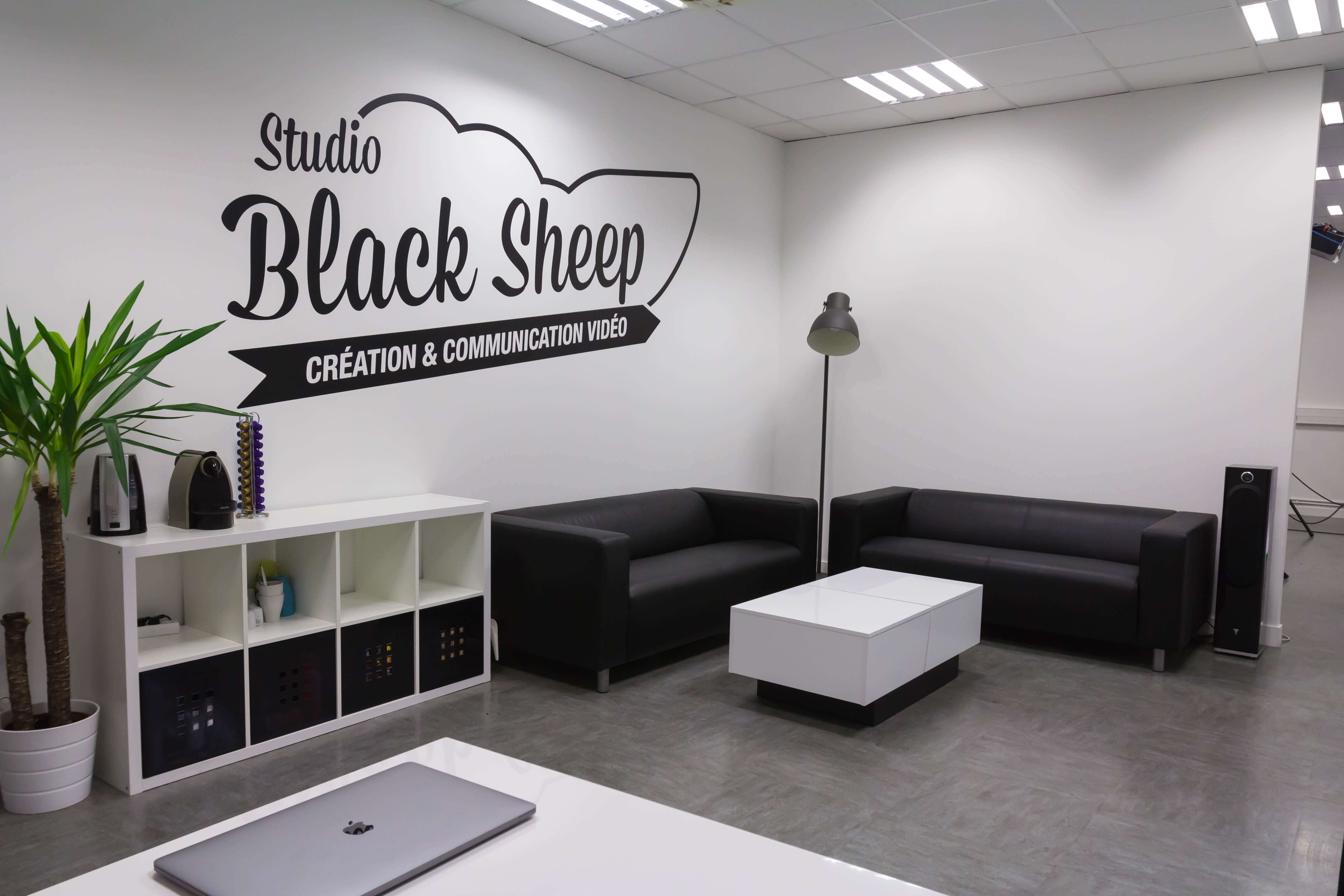 Le studio Black Sheep Studio n°2